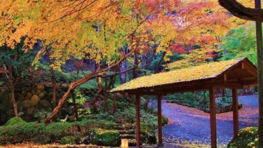 SORA Watagetsu-so Kinryu, a dignified ryokan surrounded by the tranquil air of Shuzenji Onsen.